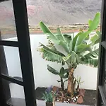 Casa Nehuna Nyaraló